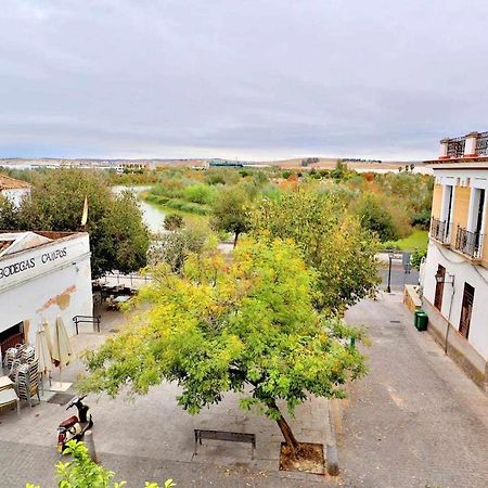 Apartamento Paseo De La Ribera Córdoba Kültér fotó